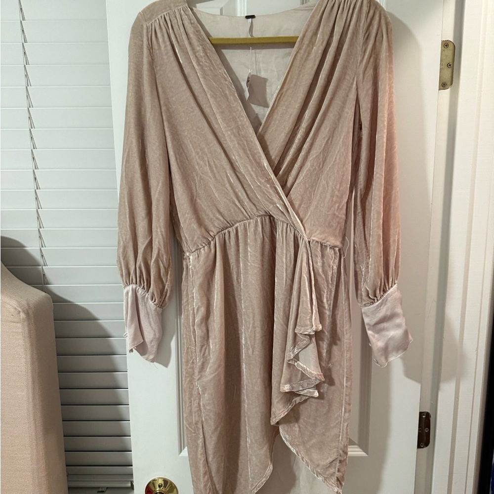 NWT Young Fabulous & Broke beige velvet dress